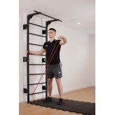 Sprossenwand mit Pull Up Bar Turngeräte Fitness Turnwand Klettergerüst bis 250kg